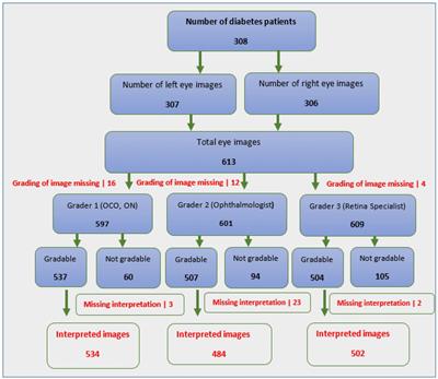 The diagnostic accuracy of diabetes retinopathy screening by ophthalmic clinical officers, ophthalmic nurses and county ophthalmologists against a retina specialist in 2 selected county referral hospitals, Kenya